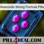 Anaconda Strong Formula Pills 04